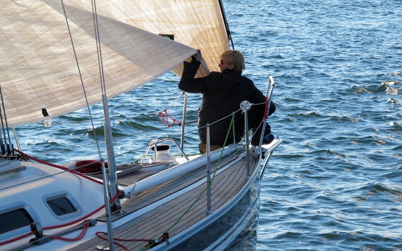 Ridas 35