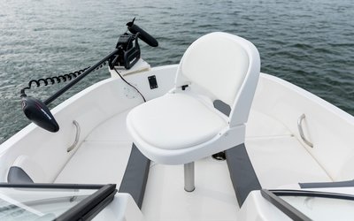 Bayliner Element E21