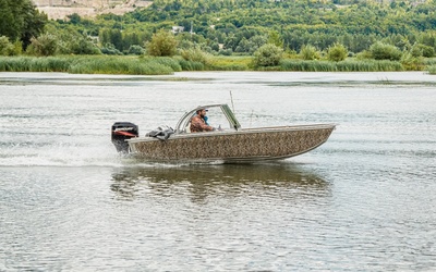 Аква Терра Карп 5.0