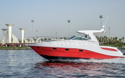 Oryx 36