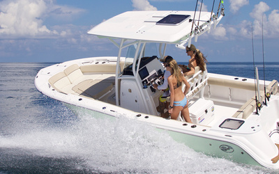 Sea Fox 248 Commander