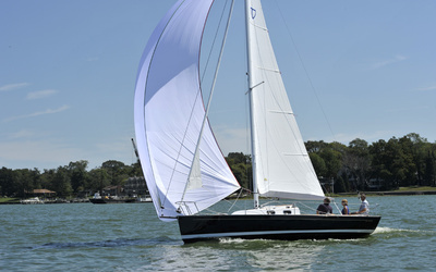 Tartan Fantail