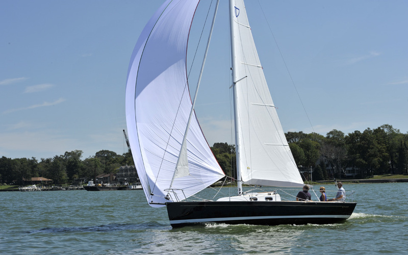 Tartan Fantail