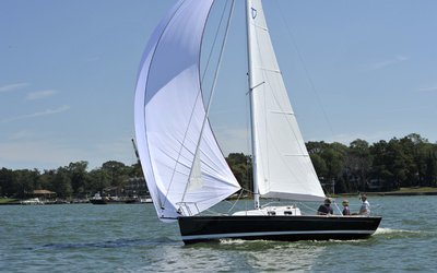Tartan Fantail
