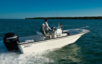 Boston Whaler 190 Montauk