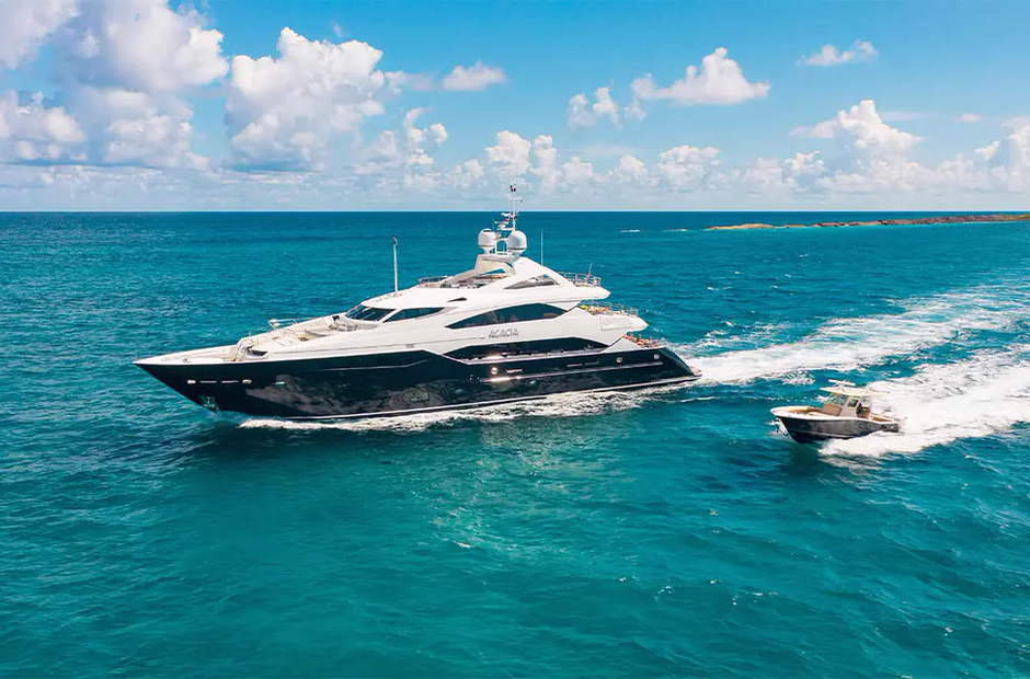 Sunseeker Acacia