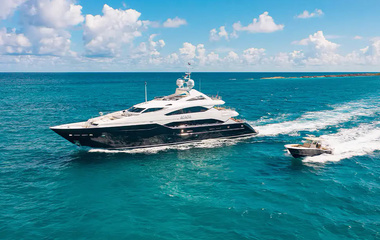 Sunseeker Acacia