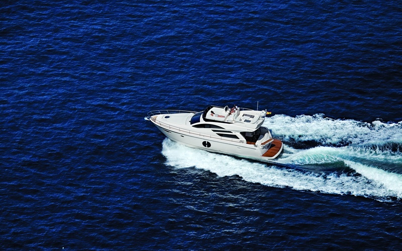 Rodman Muse 50