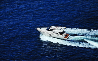 Rodman Muse 50