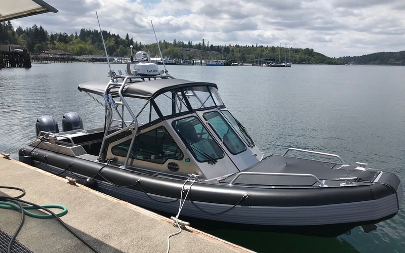 Life Proof 25 Runabout