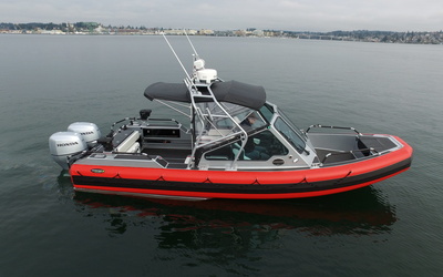 Life Proof 25 Runabout
