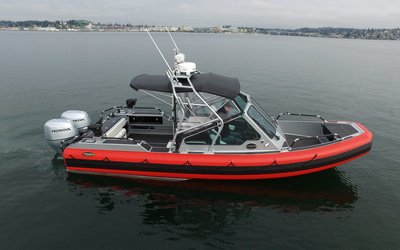 Life Proof 25 Runabout