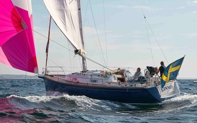 Heyman Celeste 36
