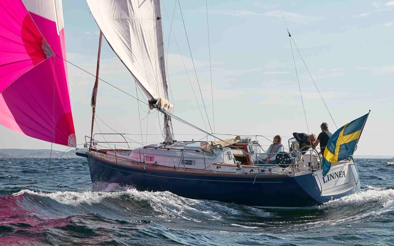 Heyman Celeste 36