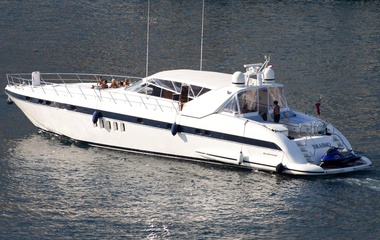Mangusta Erasmo