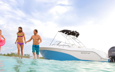 Sea Fox 226 Traveller