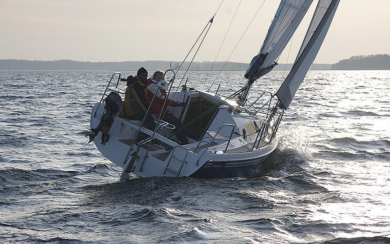 Northman Maxus 24