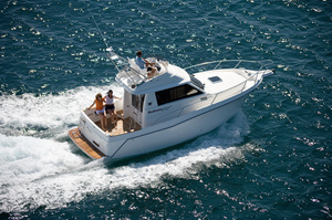 Rodman 870