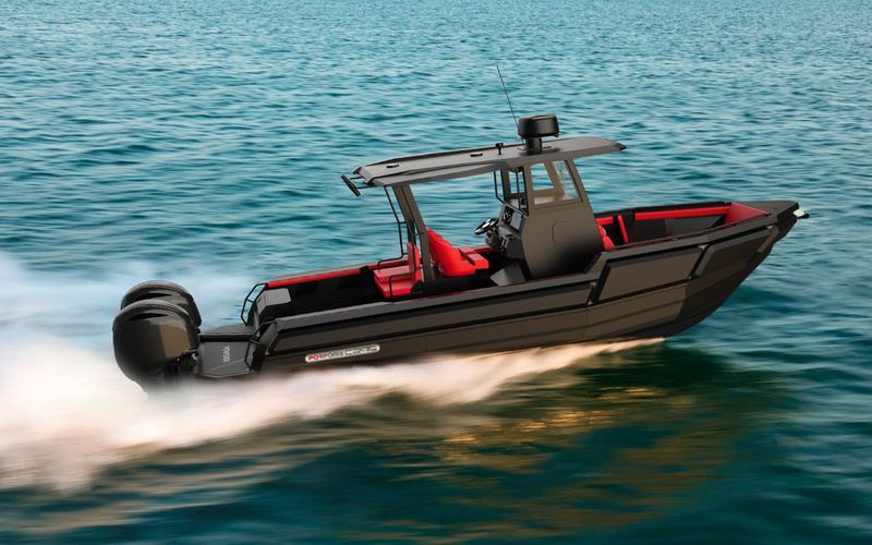 Porpoise C295