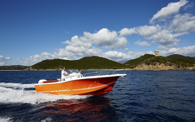 White Shark 246CC