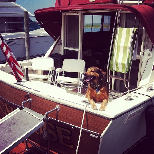 You can immediately see who's the boss on board. Photo by eddiekmmerling