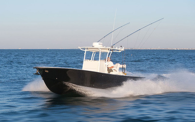 Egret 306