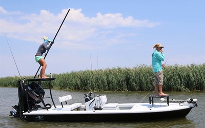 Beavertail Vengeance 18