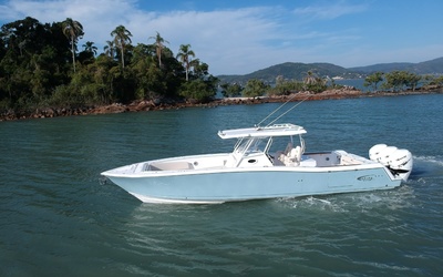 Fishing Raptor 390 Solarium