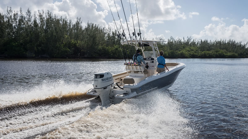 Pioneer Sportfish 202