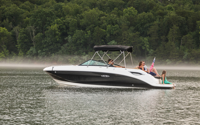 Sea Ray SDX 250