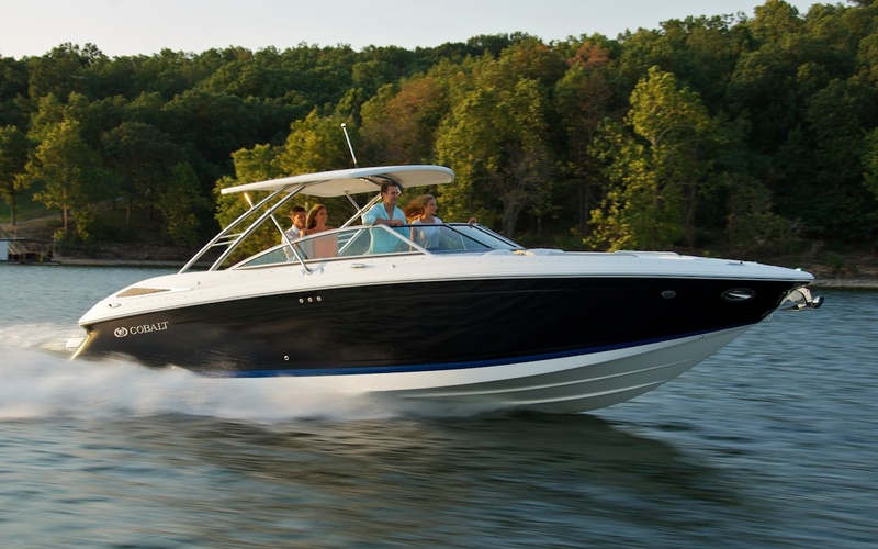 Cobalt 302