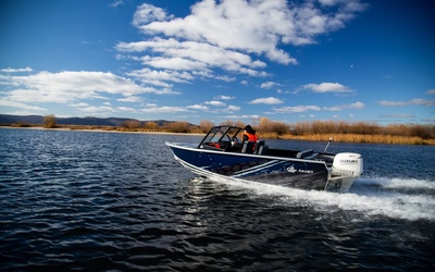 Салют PRO 480 NEO Fish