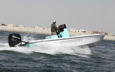 Hayaari H27 Z