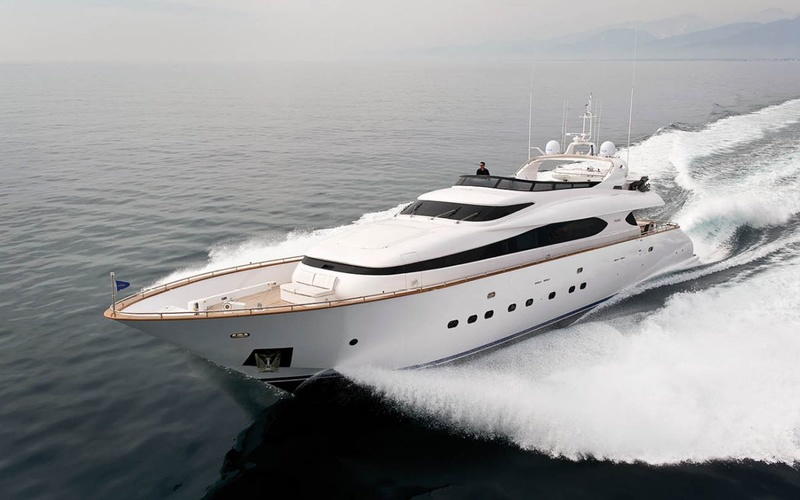 Maiora 31DP