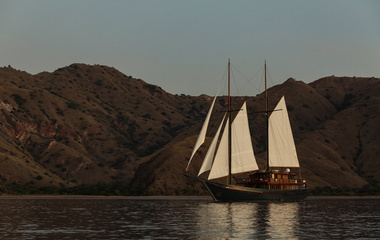 Custom Vela