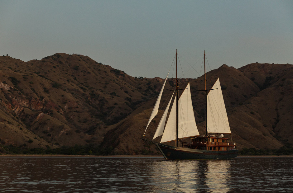 Custom Vela