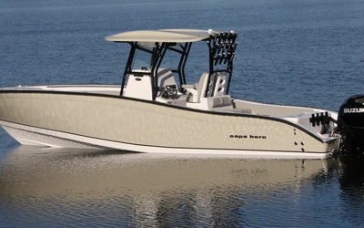Cape Horn 31T