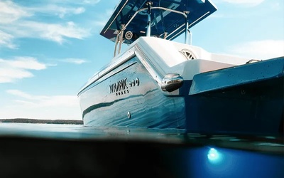Dynamic D305V