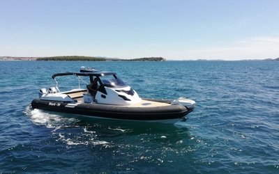 Grginic Shark 38