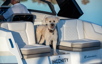 Ingenity 23E