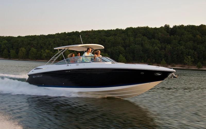Cobalt 302