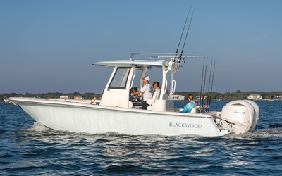 Blackwood 290 LX Open
