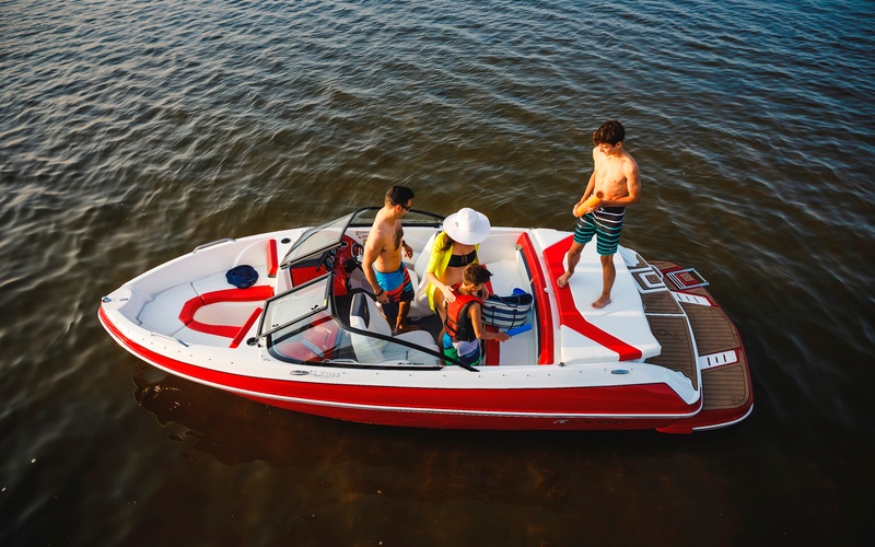 Larson  LX 195 IO