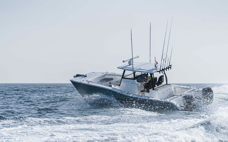SilverCat 34CC
