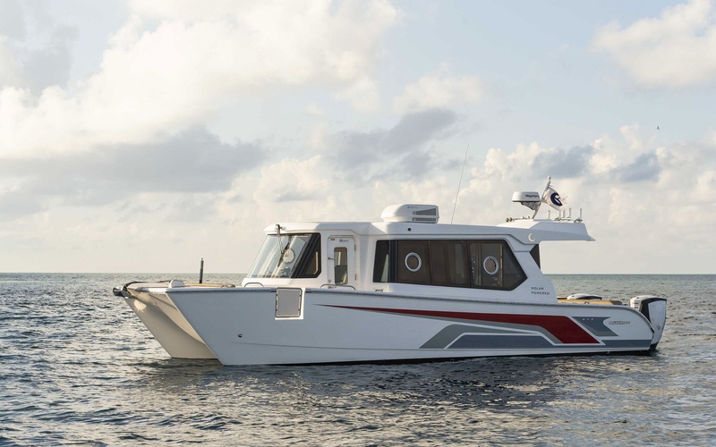 SilverCat 34 Lux