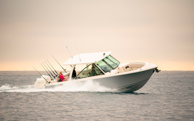 Sailfish 316 DC