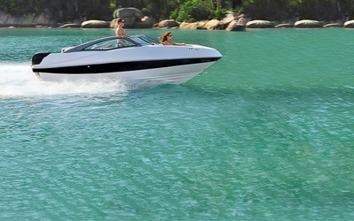 Fibrafort Focker 210