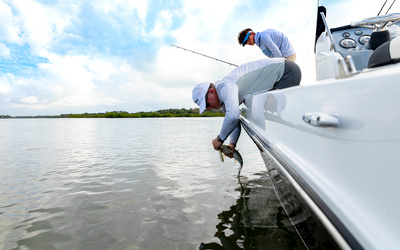 Bayliner T20CC