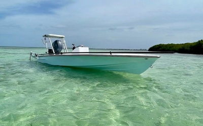 Dragonfly 17′ Classic