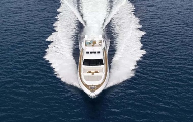 Mangusta Marigot